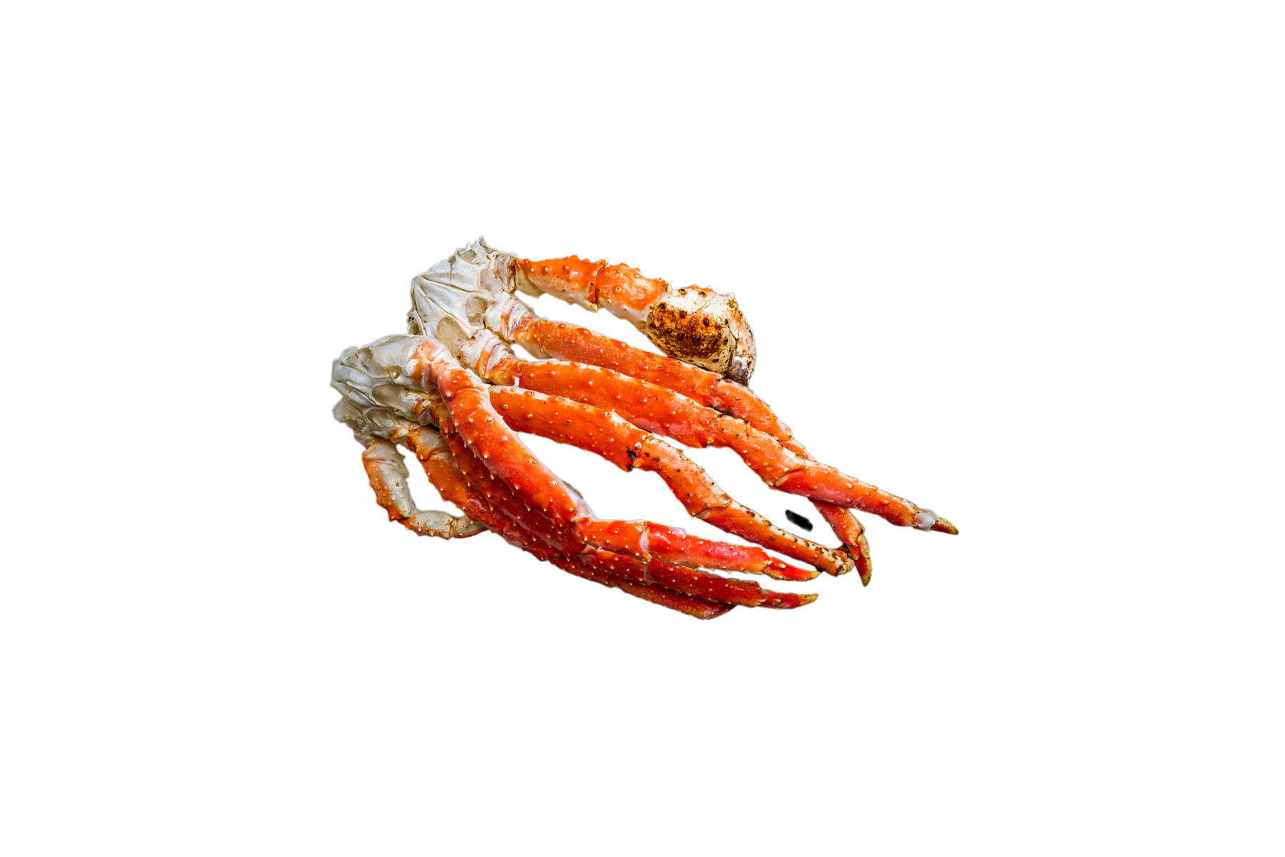 Alaskan Colossal Red King Crab Legs + Claw 3 lbs | Katchbox